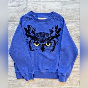 Min Boden VGUC 6-7 Blue Owl 🦉 Sweatshirt